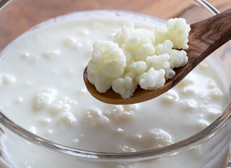 Kefir là một loại đồ uống lên men truyền thống được làm bằng sữa hoặc sữa hạt và nấm kefir (hạt kefir)