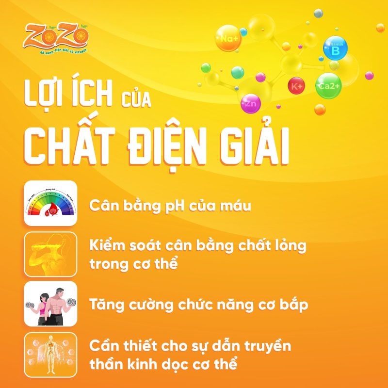 Các chất điện giải có vai trò quan trọng trong quá trình trao đổi chất, thúc đẩy hoạt động cơ và các quá trình khác diễn ra trong cơ thể dễ dàng, hiệu quả hơn.